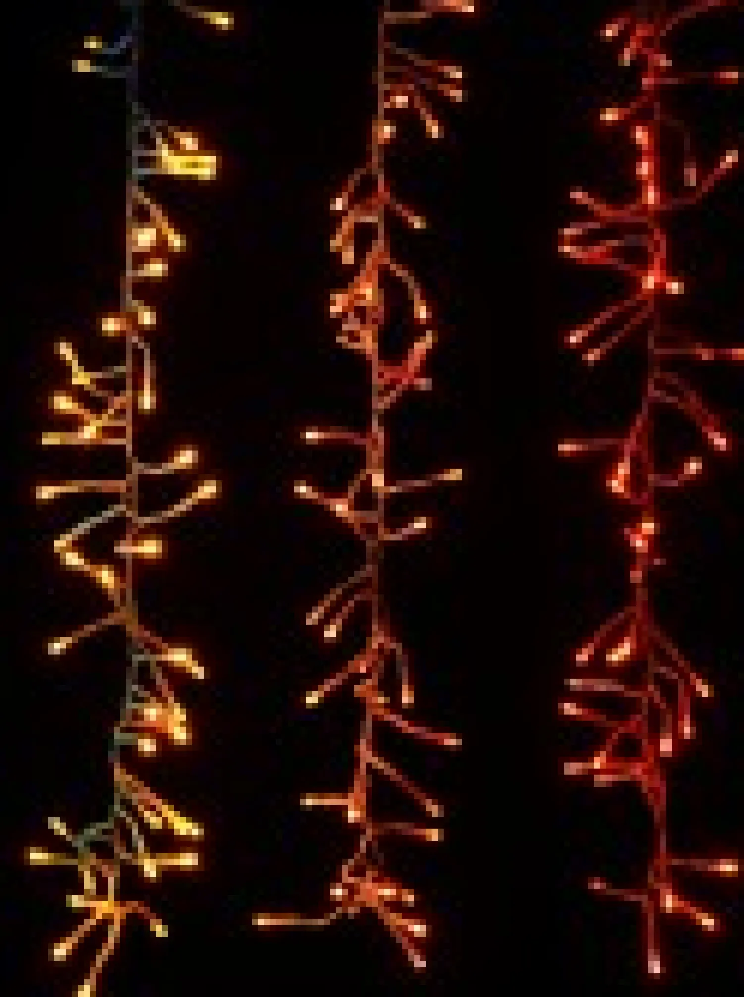 Christmas Warehouse 336 Multi Colour Led Concave Bulb Firecracker Cluster Icicle Light - 90Cm> Icicle Lights