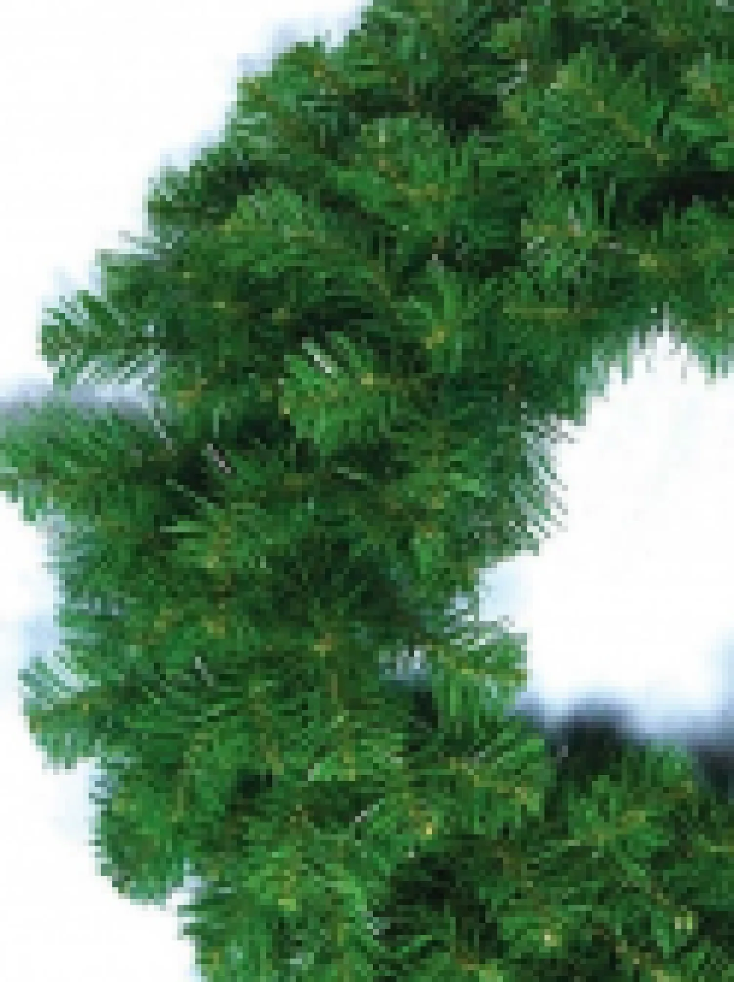 Christmas Warehouse Balsam Pine Needle Christmas Wreath With 200 Tips - 58Cm> Christmas Wreaths