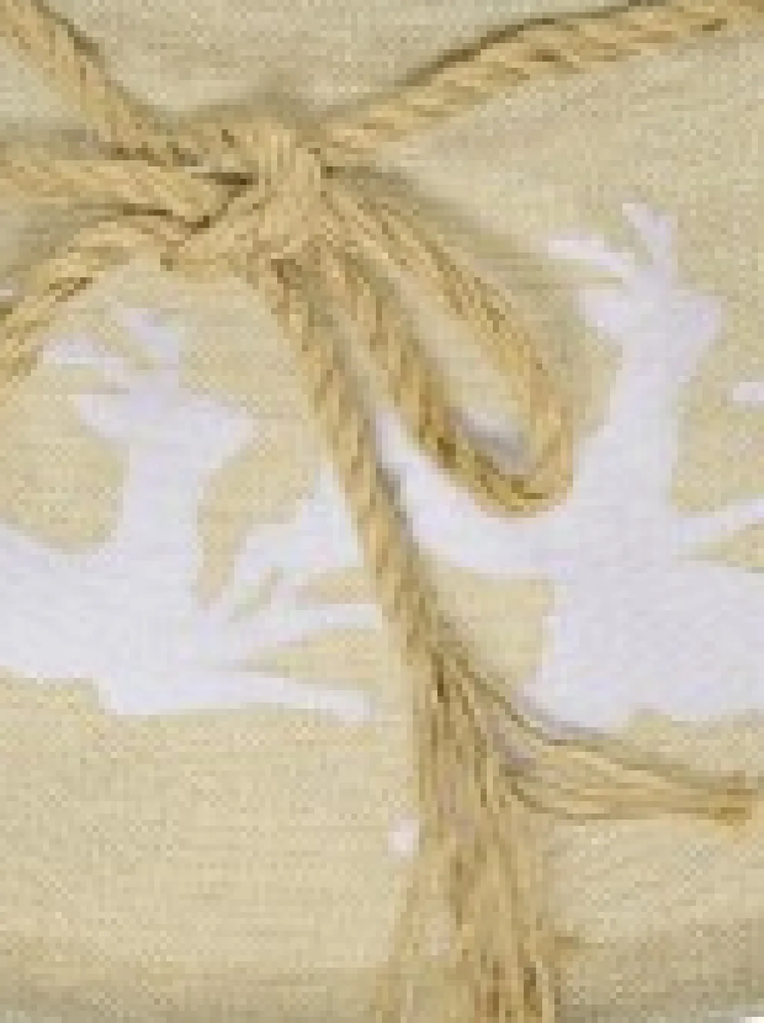 Christmas Warehouse Burlap With Reindeer Print Conical Shape Christmas Tree Skirt - 58Cm> Tree Skirts