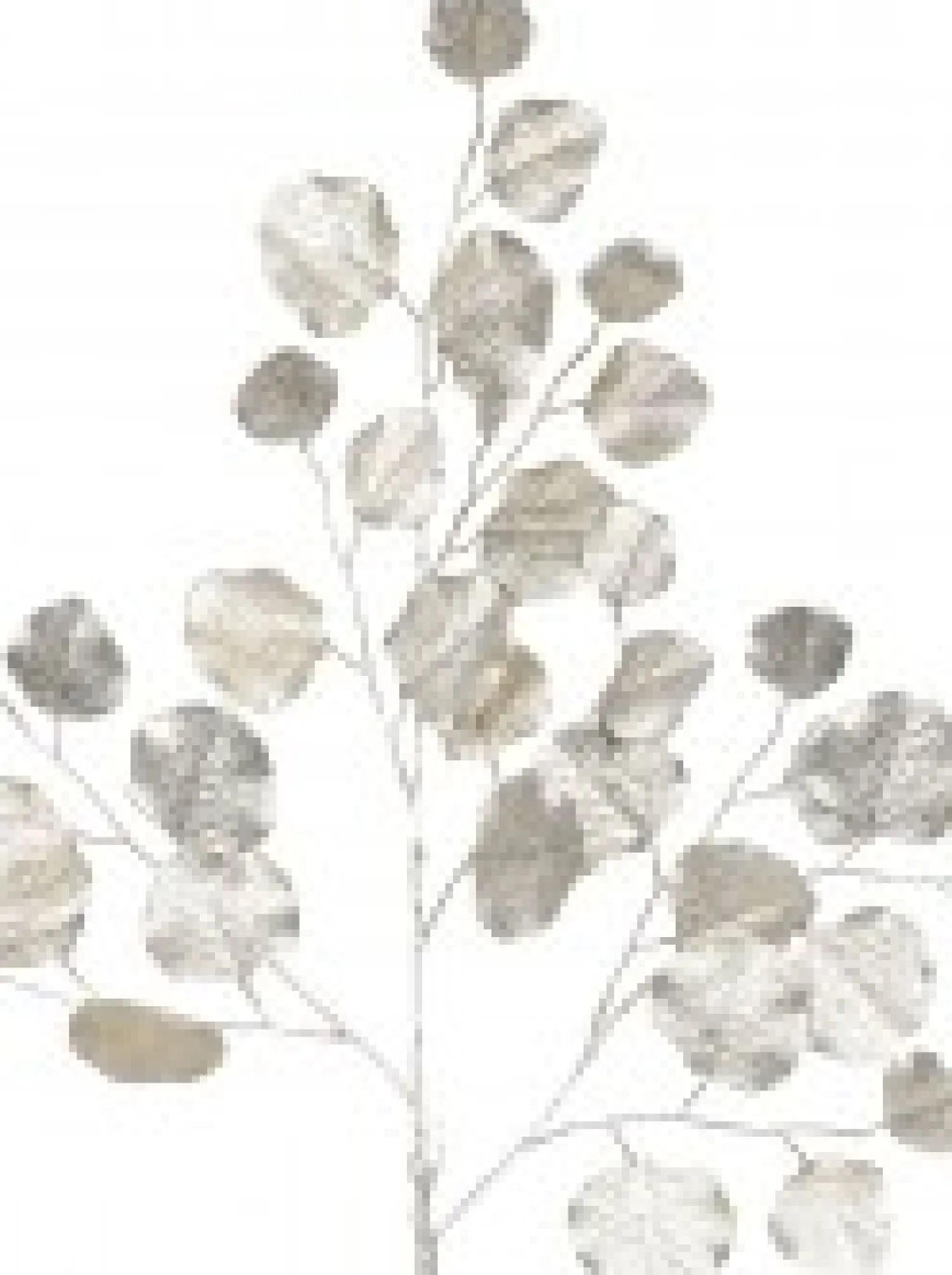 Christmas Warehouse Champagne Wide Leaf Magnolia Look Decorative Christmas Spray Stem - 86Cm> Christmas Stems