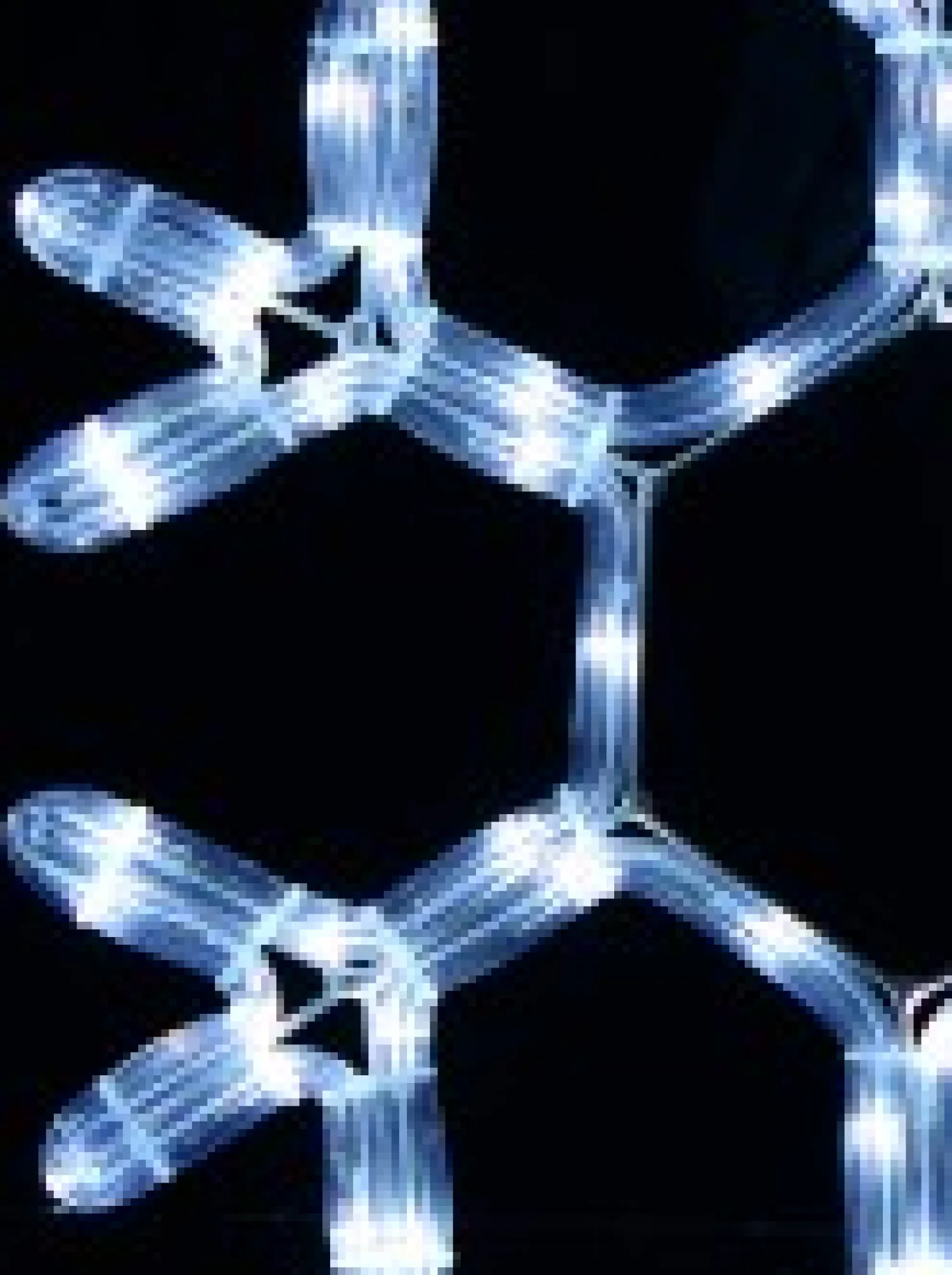 Christmas Warehouse Cool White Led Branched Star Snowflake Rope Light Silhouette - 40Cm> Christmas Light Displays