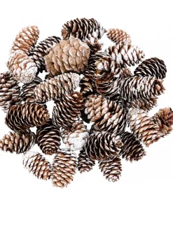 Christmas Warehouse Decorative White Frosted Natural Christmas Long Pine Cones - 100G> Natural Christmas Decorations