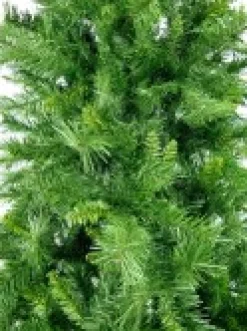 Christmas Warehouse Eastern Pine Traditional Christmas Tree With 2711 Tips - 3M> Traditional Christmas Trees