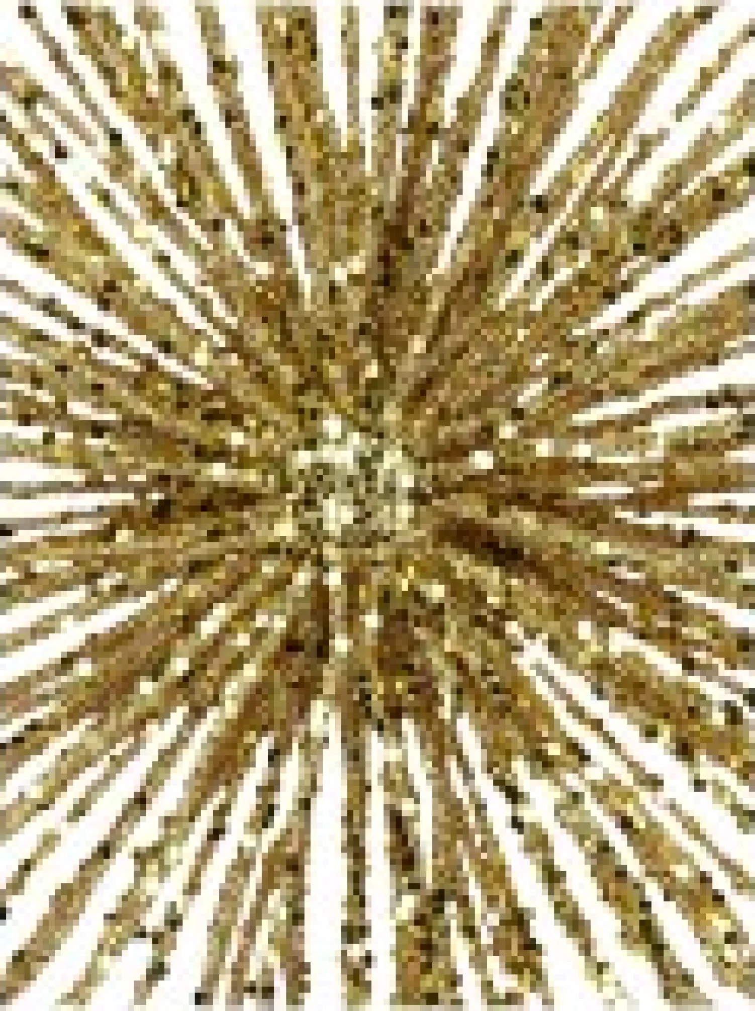 Christmas Warehouse Glittered Gold Starburst Christmas Tree Topper Decoration - 38Cm> Tree Top Decorations