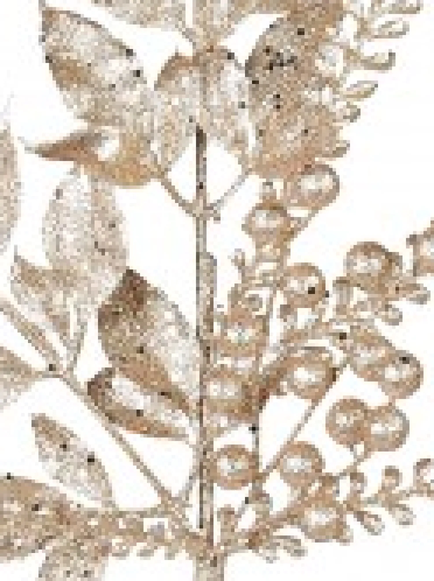 Christmas Warehouse Gold Glittered Leaves, Berries & Eucalyptus Christmas Spray Stem - 54Cm> Christmas Stems