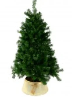 Christmas Warehouse Gold On White Textured Conical Shape & Rope Knot Christmas Tree Skirt - 58Cm><noscript><img width=