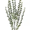 Christmas Warehouse Green Baby Blue Eucalyptus Leaves Decorative Christmas Spray Stem - 80Cm> Christmas Stems