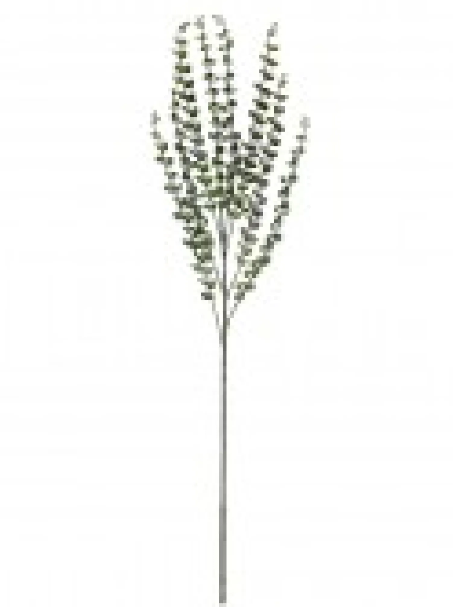 Christmas Warehouse Green Baby Blue Eucalyptus Leaves Decorative Christmas Spray Stem - 80Cm> Christmas Stems