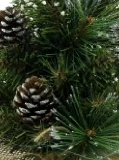 Christmas Warehouse Morning Frost With Pine Cones Table Top Christmas Tree With 37 Tips - 30Cm><noscript><img width=