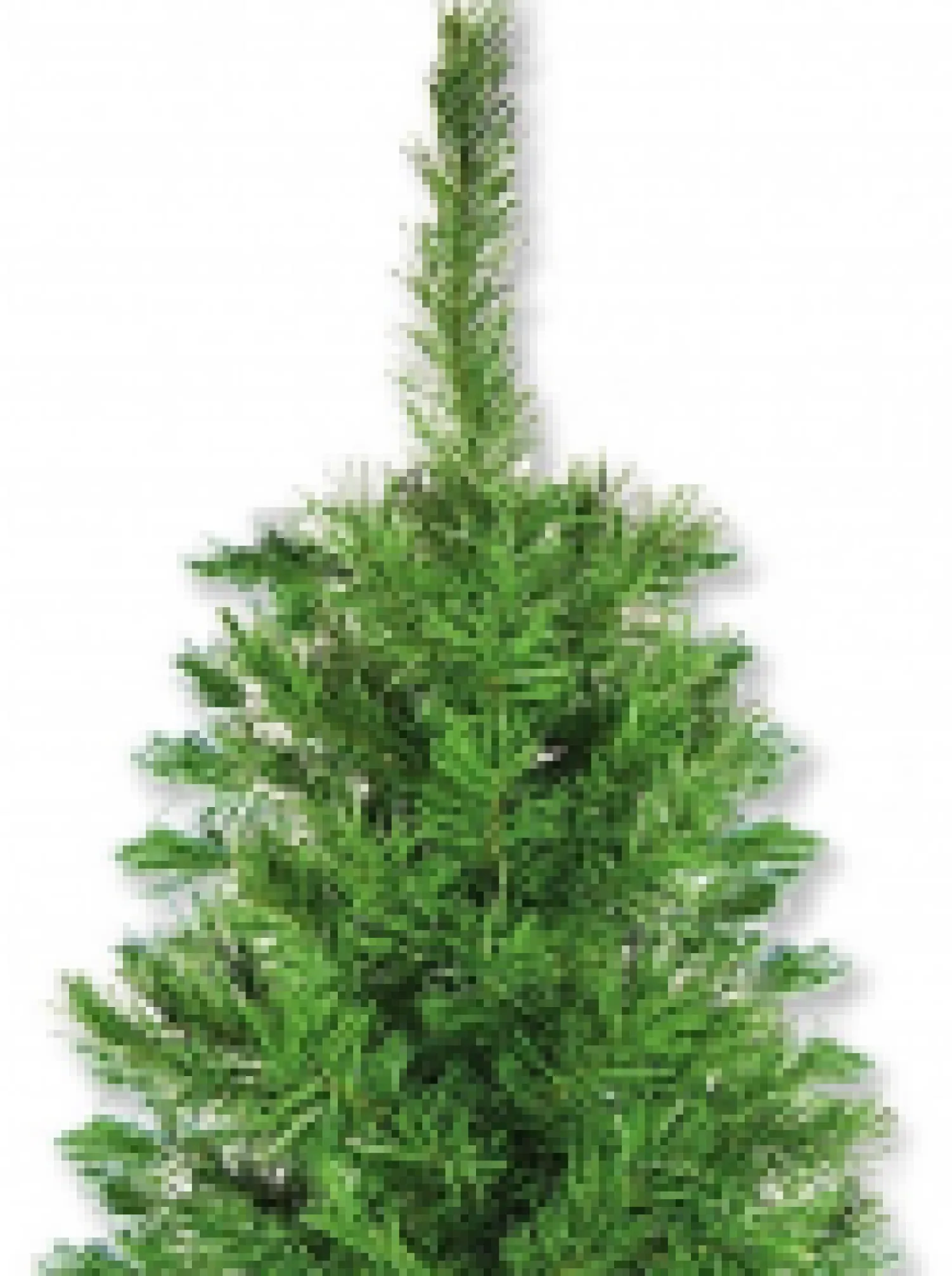 Christmas Warehouse Valley Pine Traditional Christmas Tree With 154 Tips - 1.2M> Traditional Christmas Trees