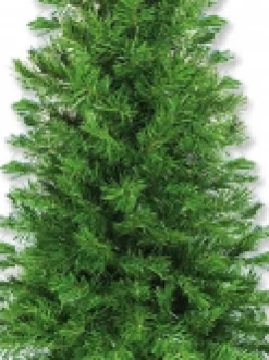 Christmas Warehouse Valley Pine Traditional Christmas Tree With 154 Tips - 1.2M><noscript><img width=
