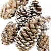 Christmas Warehouse White Frosted Tip Christmas Natural Pine Cone Decorations - 300G> Natural Christmas Decorations