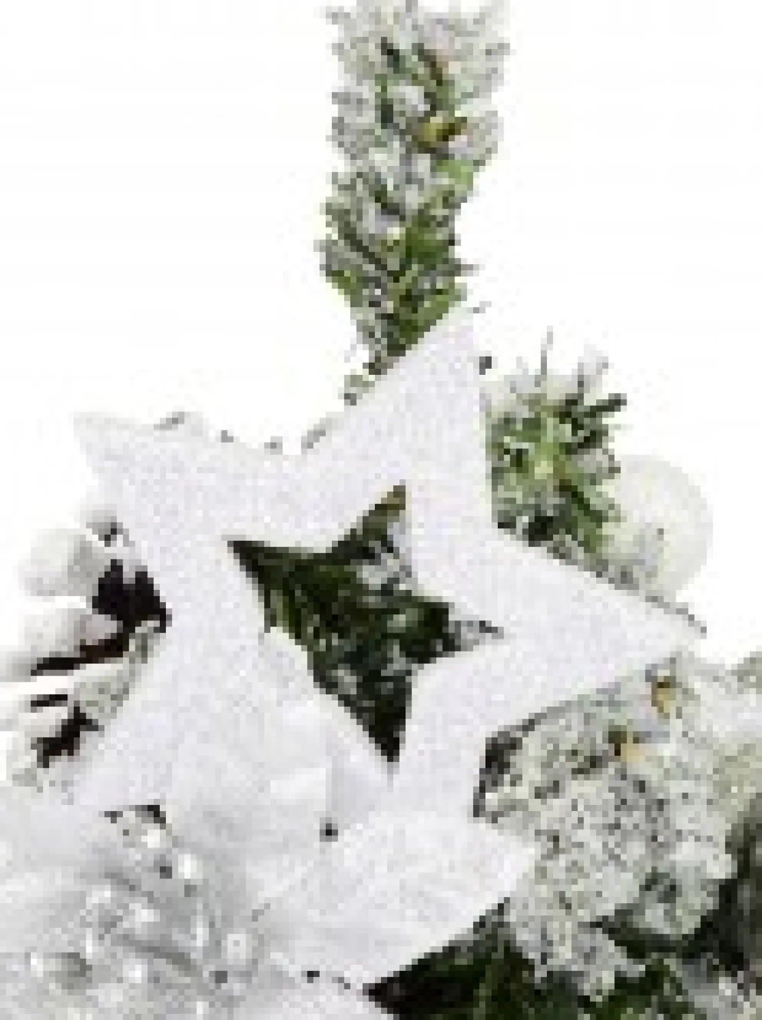 Christmas Warehouse White Poinsettia & Silver Decorations Tabletop Christmas Tree Ornament - 18Cm> Table Top Christmas Trees