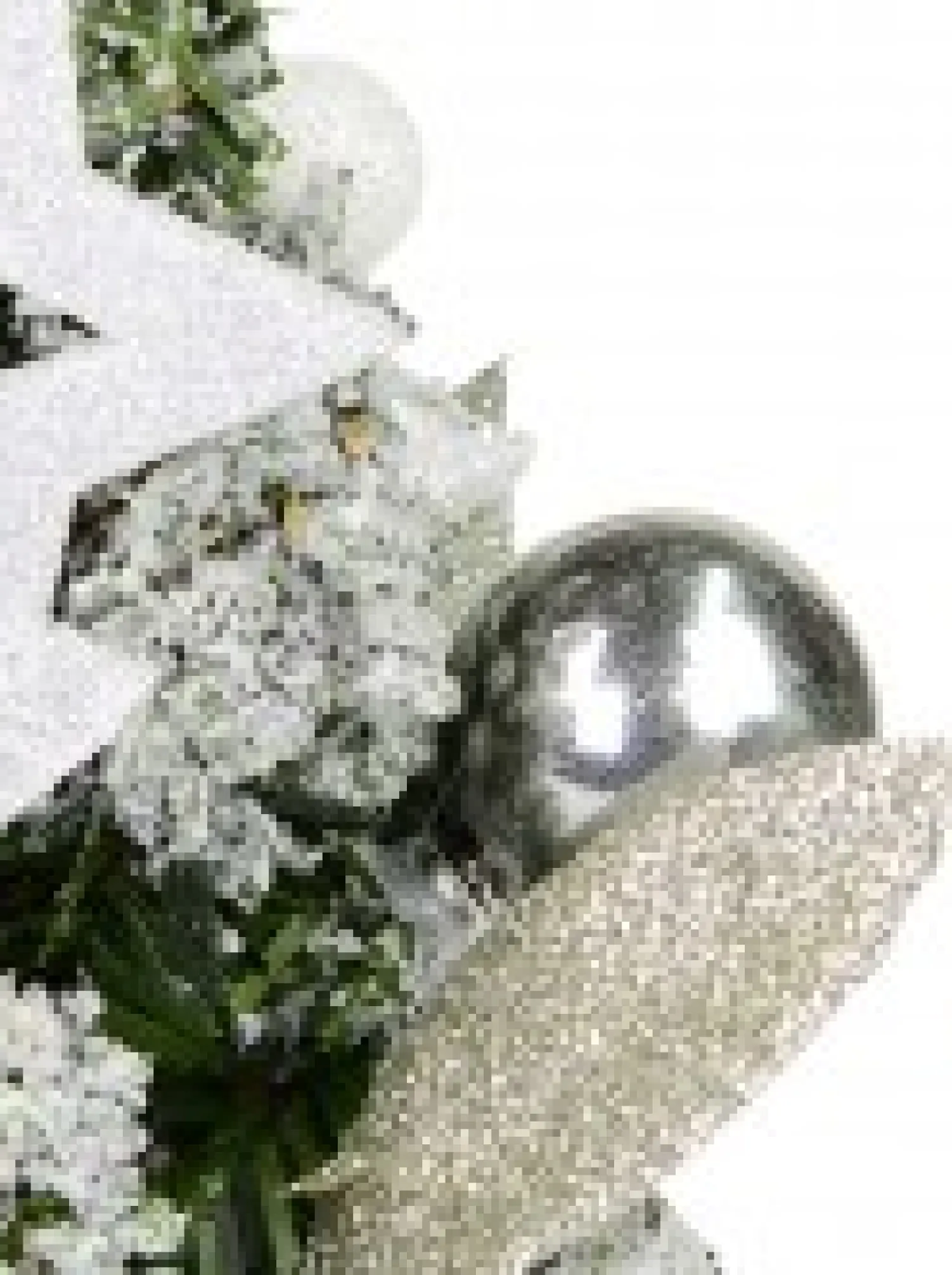 Christmas Warehouse White Poinsettia & Silver Decorations Tabletop Christmas Tree Ornament - 18Cm> Table Top Christmas Trees